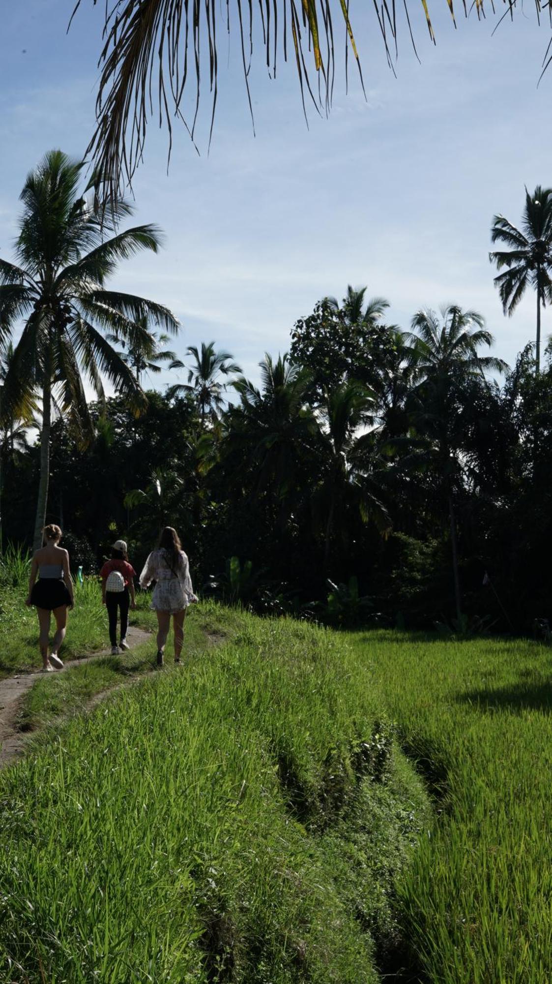 Amora Ubud Boutique Villas Exterior photo